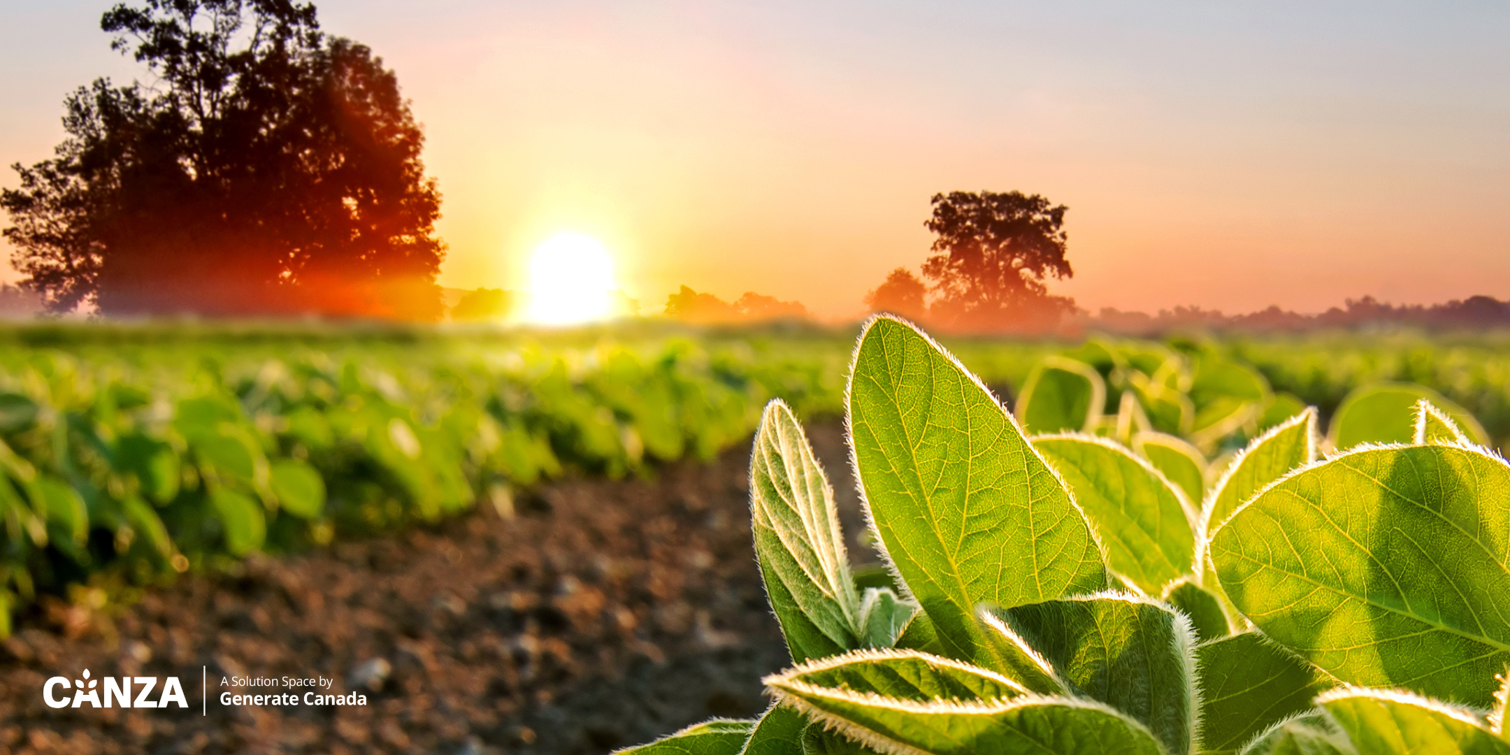 Alberta Farmer Express – Soil carbon measurement and verification system launched