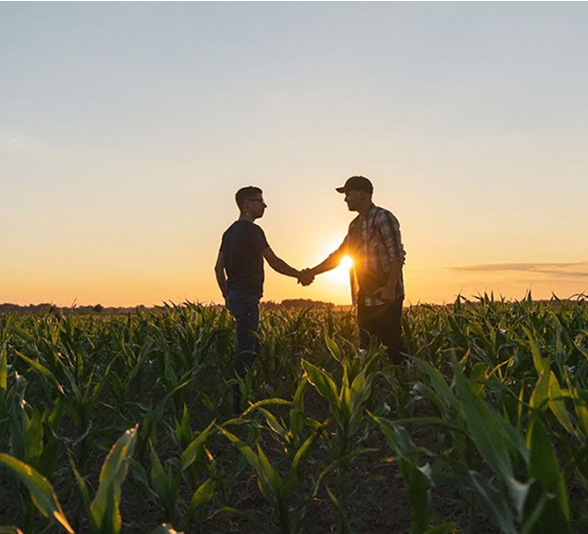 Two farmers shaking hands.